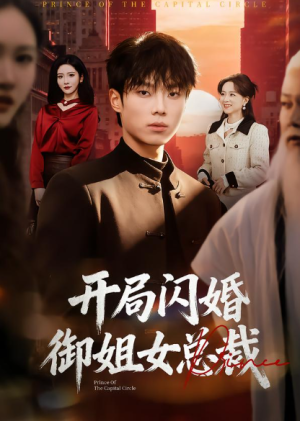 开局闪婚御姐女总裁（62集）