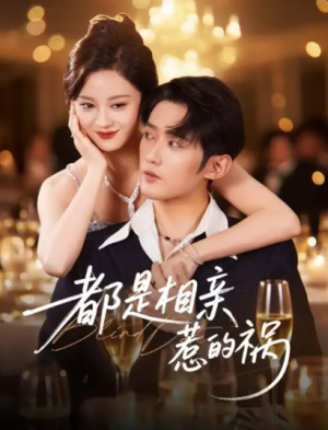 都是相亲惹的祸（72集）