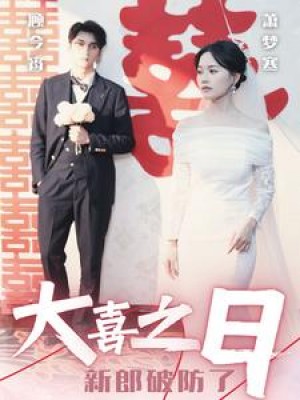 大喜之日新郎破防了（31集）