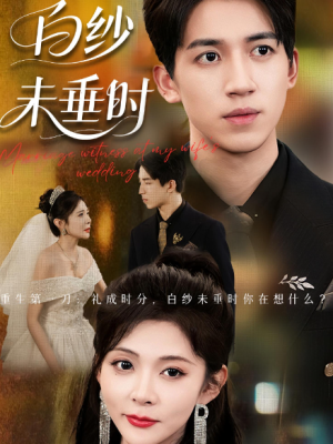 老婆婚礼，我当证婚人&老婆婚礼我当证婚人&白纱未垂时（54集）