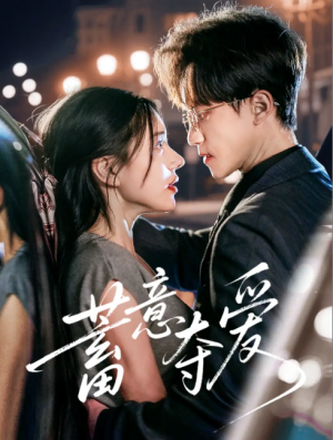 蓄意夺爱（60集）