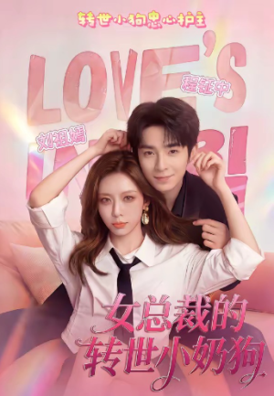 女总裁的转世小奶狗（30集）