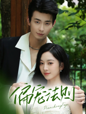 偏宠法则（80集）