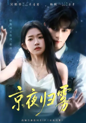 京夜归雾（71集）