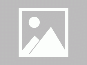 大师，你桃花开了（大师你桃花开了）（80集）