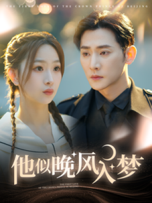 他似晚风入梦（100集）