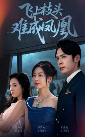 ﻿飞上枝头难成凤凰（47集）