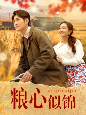 粮心似锦（93集）