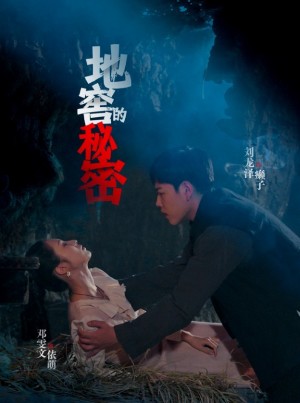 地窖的秘密（40集）