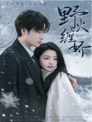 野火缠娇（66集）