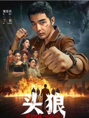 头狼（77集）