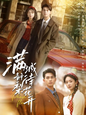 满城静待梨花开（100集）