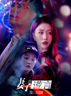 万箭穿心之妻子的谎言（30集）