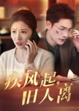 疾风起旧人离（32集）