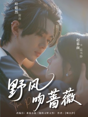野风吻蔷薇（78集）