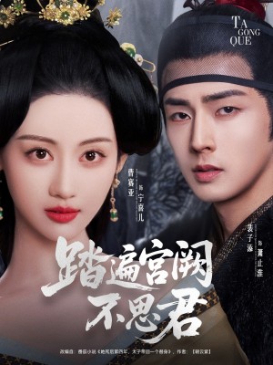 踏遍宫阙不思君（75集）