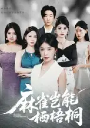 麻雀岂能栖梧桐（31集）