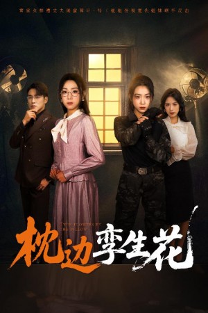 枕边孪生花（50集）