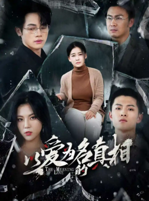 以爱为名的真相（70集）