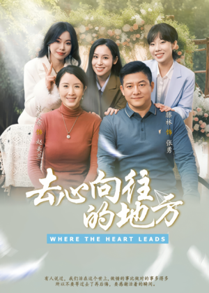 去心向往的地方（60集）
