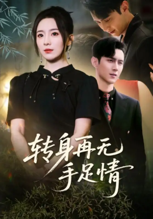 转身再无手足情（71集）