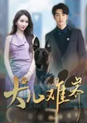 犬儿难养（38集）
