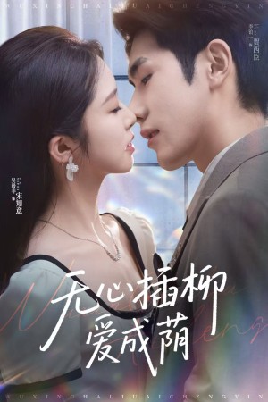 无心插柳爱成荫（80集）