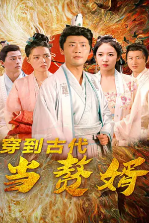 穿到古代当赘婿（96集）