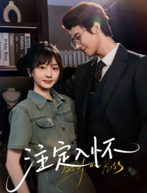 注定入怀（70集）