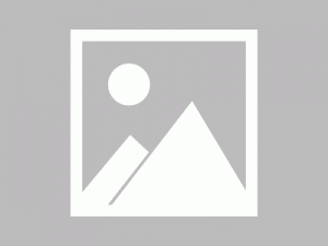 财阀租我当少爷，我被姐姐团宠了（财阀租我当少爷我被姐姐团宠了）（65集）