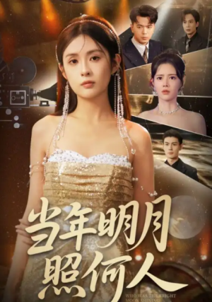 当年明月照何人（70集）