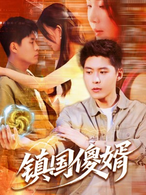 镇国傻婿（165集）