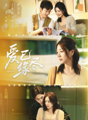 爱已缘尽（62集）