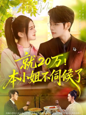 就20万本小姐不伺候了（60集）