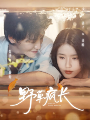 野草疯长（71集）