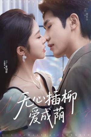 无心插柳爱成荫（50集）