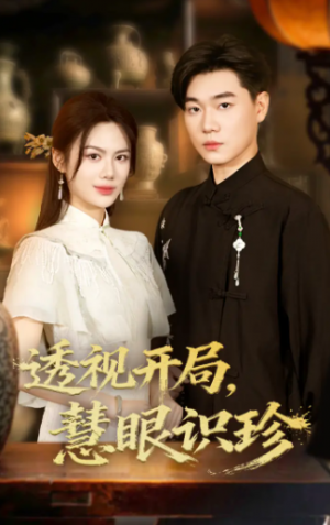 透视开局慧眼识珍（87集）