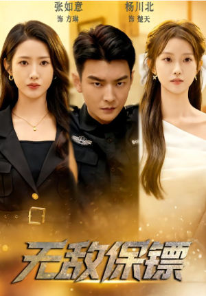 无敌保镖（62集）