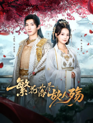 繁花落尽故人殇（70集）