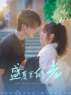 盛夏里的光（69集）