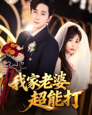 我家老婆超能打（60集）