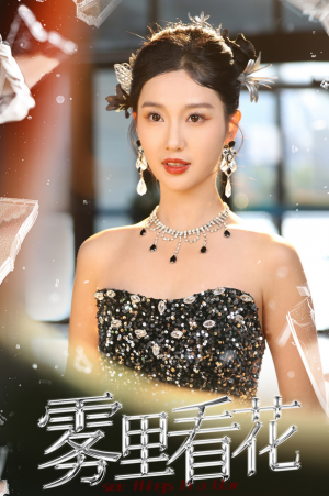 雾里看花（25集）