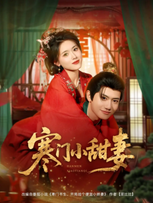 寒门小甜妻（79集）