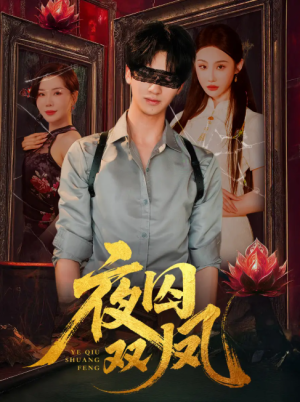 夜囚双凤（46集）
