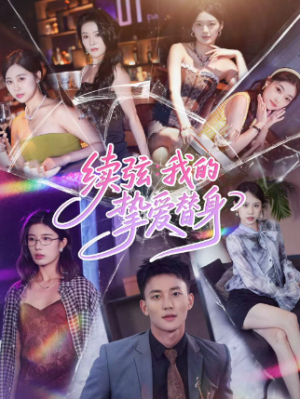 续弦我的挚爱替身（62集）