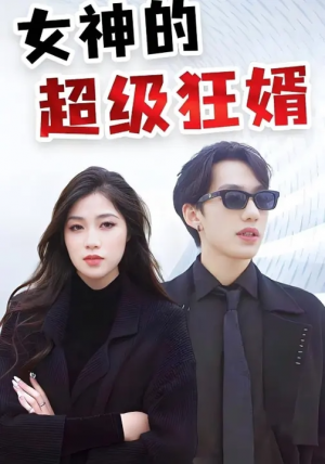 女神的超级狂婿（100集）
