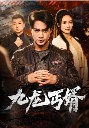 九龙丐婿（81集）