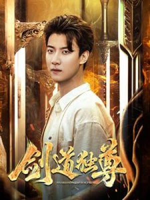 剑道独尊（108集）