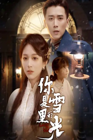 你是雪里的光（64集）