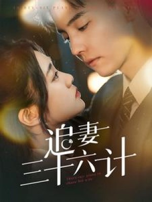 追妻三十六计（82集）